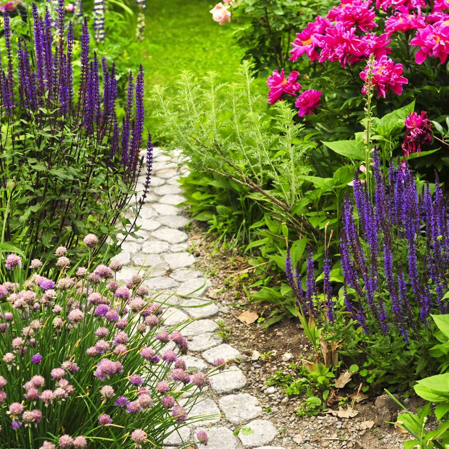 klein pad in mooie bloementuin